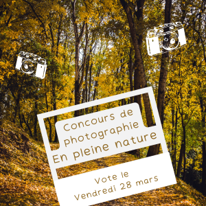 Flyer concours photo (1)
