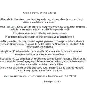 Capture d'écran (37)