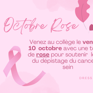 Publication facebook Octobre rose cancer du sein femmes moderne illustratif féminin rose